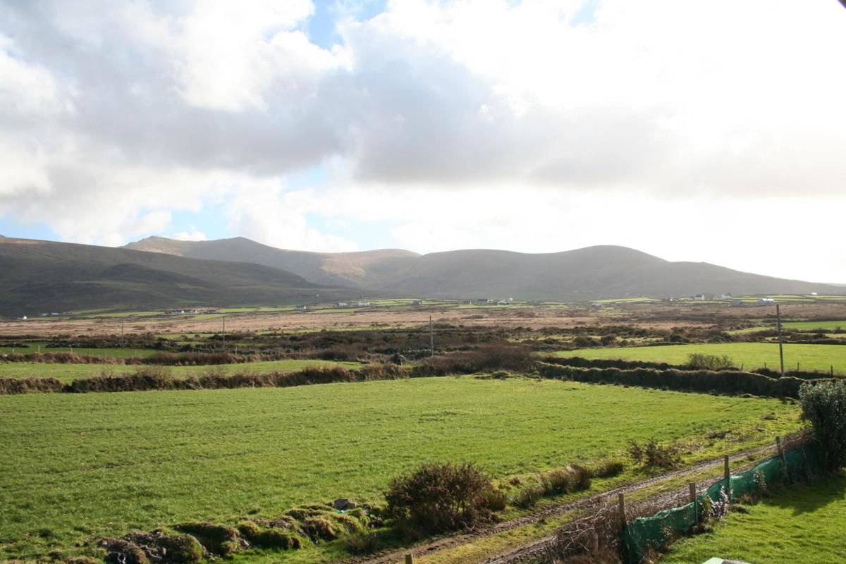 Coill An Rois B&B Ballydavid Exterior foto